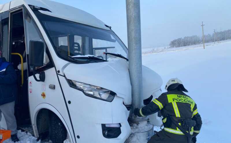 В Алтайском крае туристический автобус врезался в столб