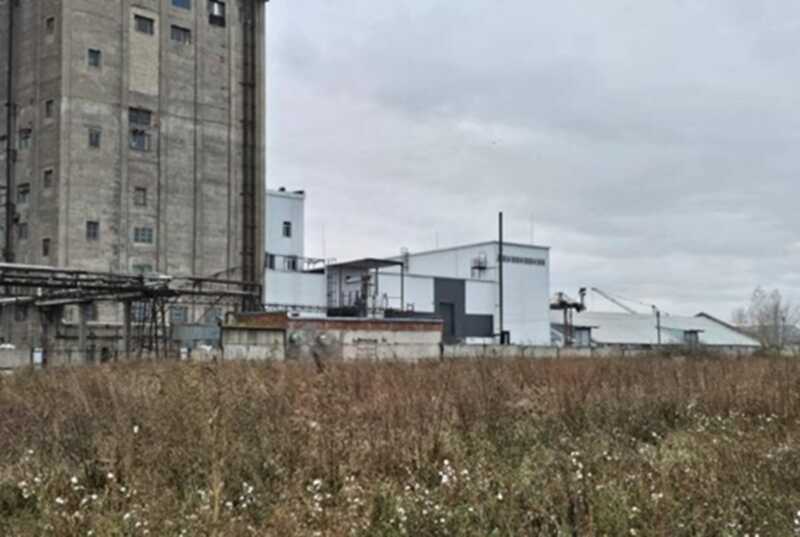 В Ачинске приостановлено производство рапса в связи с разногласиями с местными властями