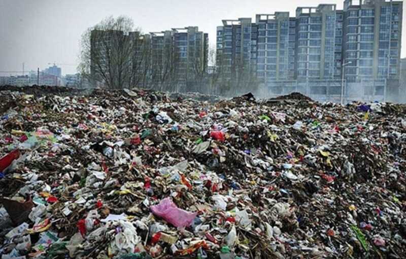 Крысы заменяют реформы: Красноярск погружается в мусор и болезни