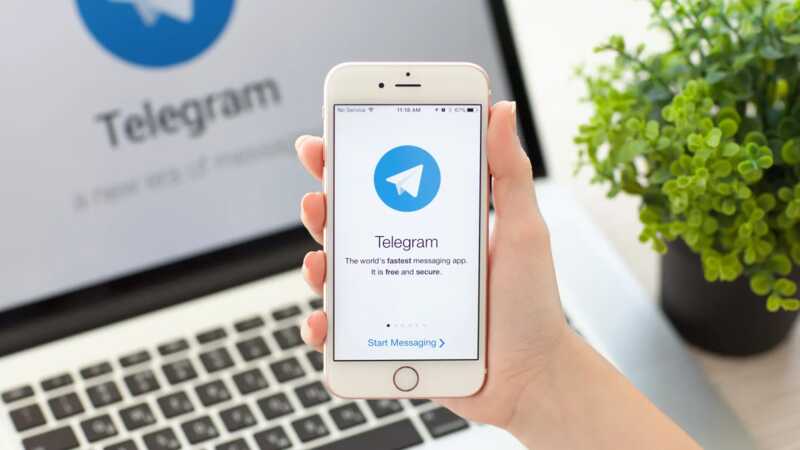 В России рассматривают возможность блокировки Telegram и WhatsApp