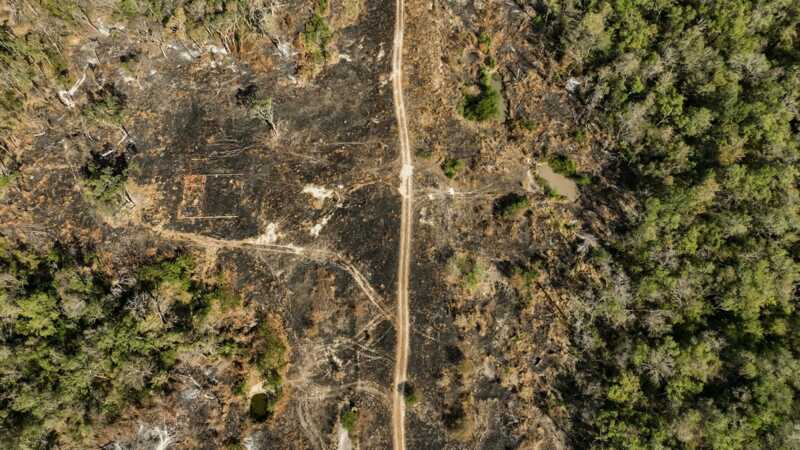 How Drug Smugglers Conceal Themselves in the Chaco: An Airstrip in the Forests of Paraguay