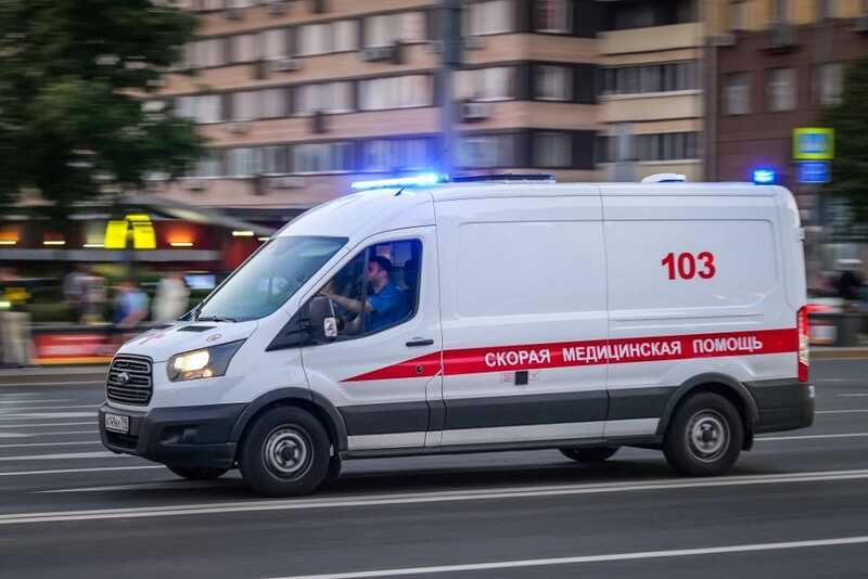 В Мурманске породистая собака атаковала ребенка