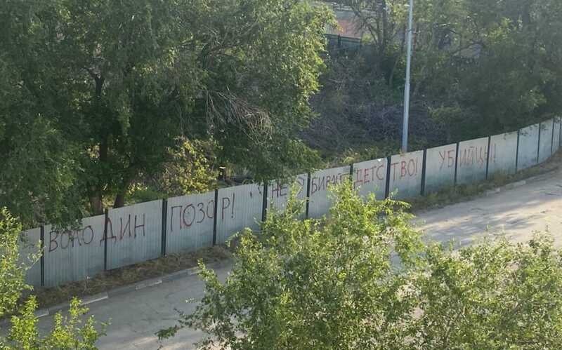 В Саратове арестовали местную жительницу, протестовавшую против строительства в парке